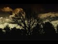 HAUNTED FOREST Scary Sounds Of Ghosts In The Darkness 2 HOURS