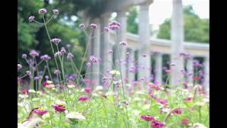 音源アップしました