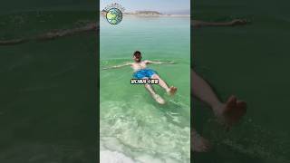 Download lagu A sea where diving is impossible mp3