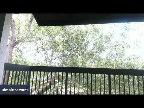 Global news highlights #3