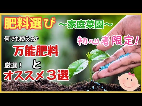 どの自家製天然肥料を選ぶべきですか?なぜ高価な化学物質を禁止するのですか?  庭園