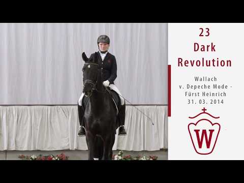 23 Dark Revolution  Wallach v. Depeche Mode - Fürst Heinrich