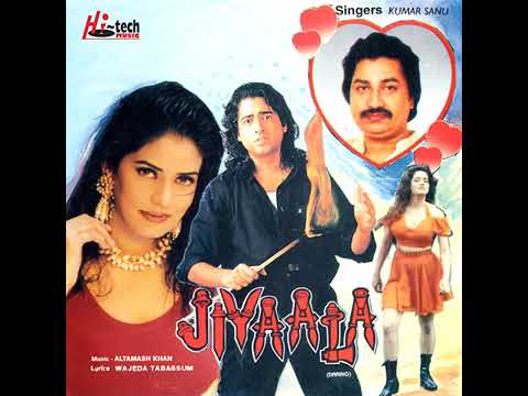 Kal Chaudhvin Ki Raat Thi - Kumar Sanu