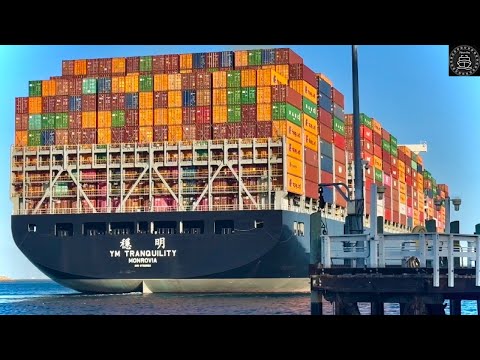 LOS ANGELES 4K Shipspotting | Arrivals & Departures - MAY 2023