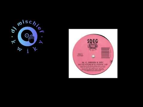 M.C. Breed & DFC - Ain't No Future In Yo' Frontin (KwikyMisch)