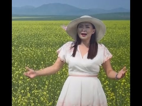 АРИУН ХАЙРЫН ТӨЛӨӨ