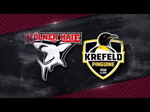 POSTGAME INTERVIEW - Kölner Haie - Krefeld Pinguine (1:3) - 28.02.2021