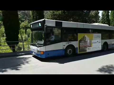 PARODIA  - Amore e Capoeira IN GENOVESE