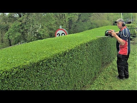How To Trim A Hedge, Level