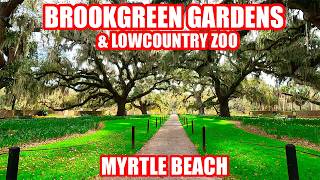 BROOKGREEN GARDENS Full Tour & NEW Conservatory in Murrells Inlet near MYRTLE BEACH, SC!