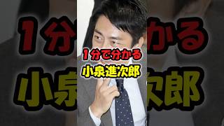 【総裁選2025】小泉進次郎の何か言ってそうで何も言ってない名言まとめてみた！