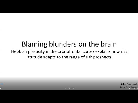 Behavior under biological constraints: hebbian plasticity in the orbitofrontal cortex...