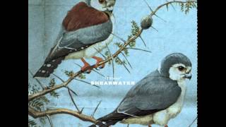 Shearwater - Mountain Laurel