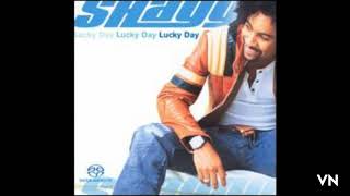 Shaggy - These Are The Lips.