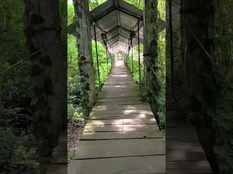 Isla del Cacao Loreto-Orellana-Ecuador.