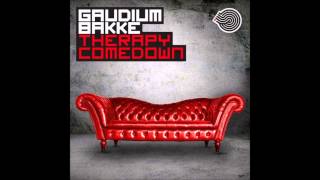 Gaudium & Bakke - Therapy Comedown