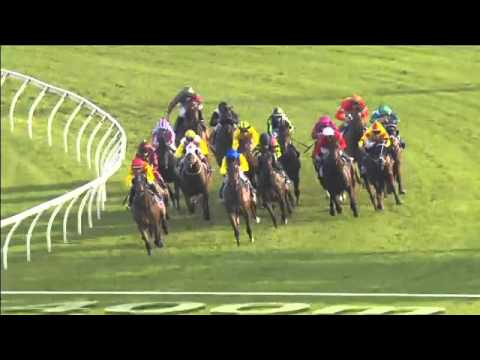 Randwick Race 8 April 9th 2016 - COOLMORE LEGACY STAKES