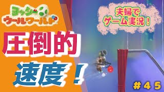 【夫婦実況】#45 あみぐるみ夫婦ヨッシーがコンプリートを目指す！！【実況プレイ】
