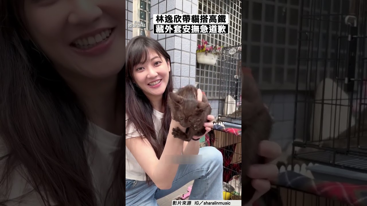 影音/林逸欣搭高鐵「幼貓藏外套」 違規急道歉:我太無知了