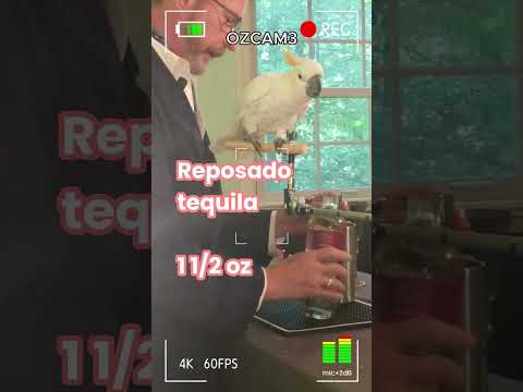 cockAtails = Cocktails With a Cockatoo: "Oaxaca Old Fashioned"