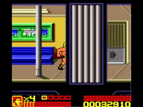 WWF Betrayal Game Boy