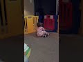 D D D D Dance Sesame Street