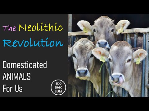 The Neolithic Agricultural Revolution: Domesticated ANIMALS for Us | Past Video 6