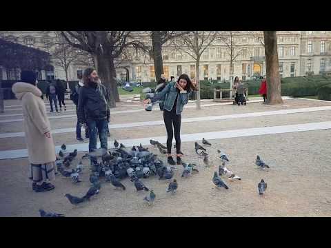 Girl has fear of pigeons