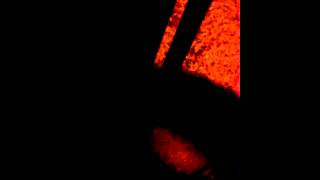 Midnight Cowboy Music Video
