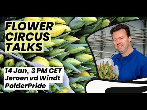 Flower Circus Talks Jeroen vd Windt - Polder Pride