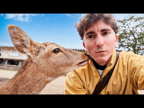 Japan without filters: what they don’t tell you about fashion and culture