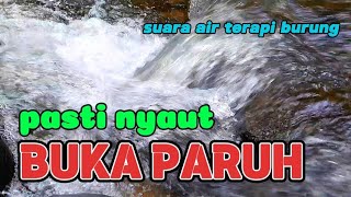 Download lagu Pasti nyaut buka paruh, terapi air untuk semua jenis burung, suara air mp3