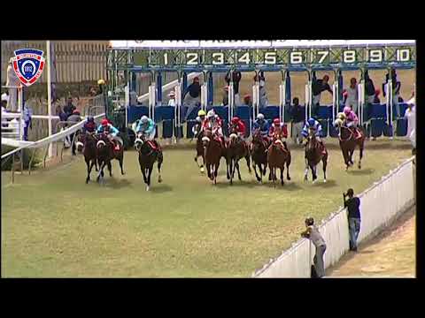 RM36 R3 | Bouclette Top | O.Plaçais