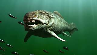 Download lagu Meet Odaraia Alata: The Ancient Alien Fish taco .🐠🌮 mp3
