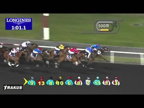 15.02.2014 Meydan (Dubai-UAE) 4.Race Longines Dolce Vita - Handicap 1.400 m
