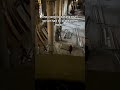 They Were So Scared