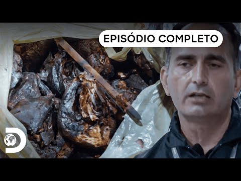 Episodio completo | Operação Fronteira: Itália - S1 Ep 1 | Discovery Brasil