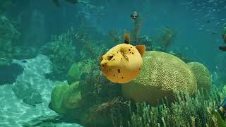 VideoImage1 Planet Zoo 2