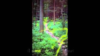 Eyes, Rogue Wave (lyrics)