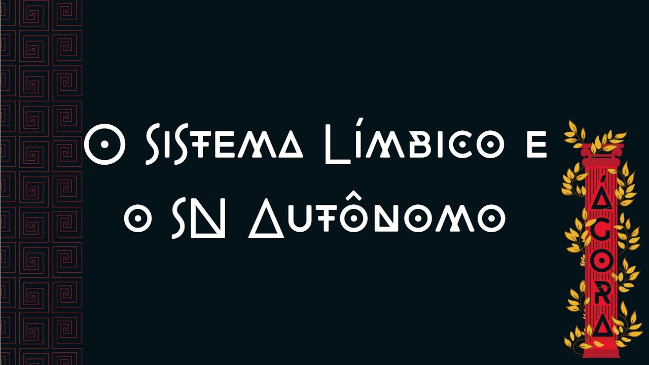 O Sistema Límbico e o SN Autônomo