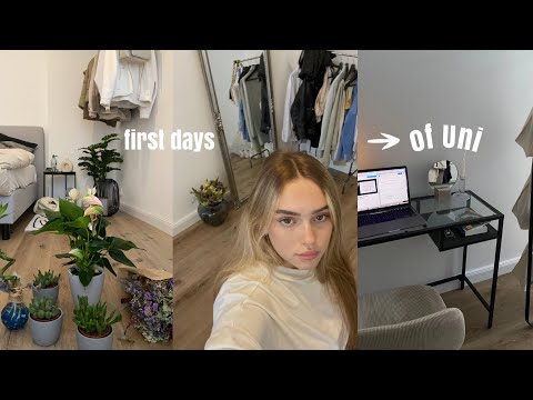 First days of Uni: 3. Semester, Schwerpunktwahl, Lerngruppe & Vorbereitung für mein Haustier..