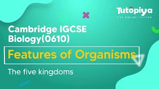 Features of Organisms