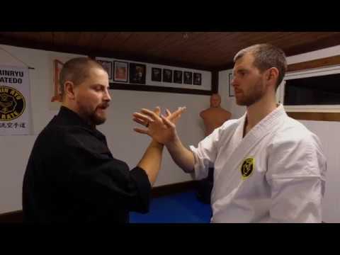 [001] Pinan Shodan Bunkai