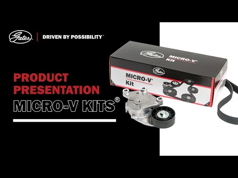 Buy Gates K070975 Multi V-Groove Belt - View #12