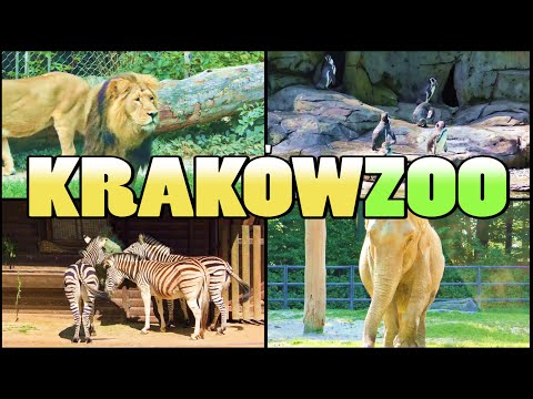 KRAKÓW ZOO - Ogród Zoologiczny w Krakowie - Poland (4K)