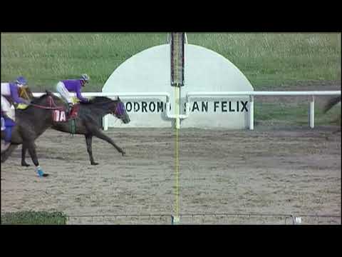 HIPODROMO SINT PAYSANDU 220324 c08 1° SICARIO