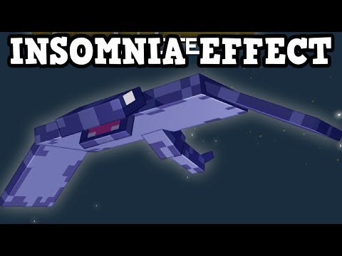The Truth About Minecraft 1.14 Insomnia Effect