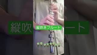 【縦吹きフルート】あなたは世界の終わりにずんだを食べるのだ - latin remix #shorts