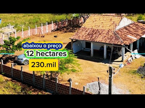 Preço de oportunidade 230.mil 12 hectares riacho das almas 