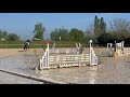 Jument 4 ans Nero's Clindine B.B